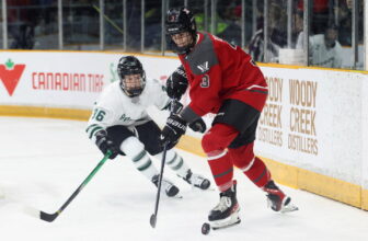 The Skilled Ladies’s Hockey League will be a...