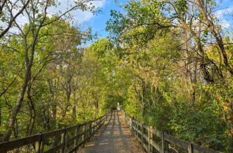 The Little Issues E-newsletter #439 – Life, ...