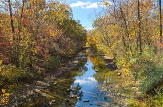 The Little Issues E-newsletter #440 – Life, ...