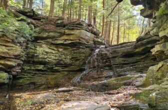 The Little Issues Publication #443 – Life, l...