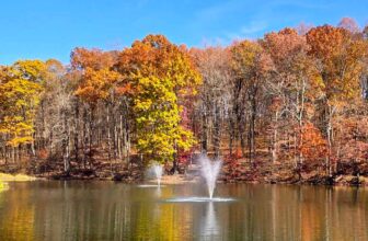 The Little Issues Publication #442 – Life, l...