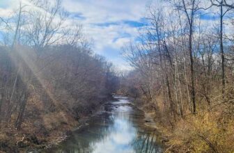 The Little Issues Publication #445 – Life, l...