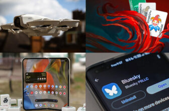 Tech’s greatest winners in 2024