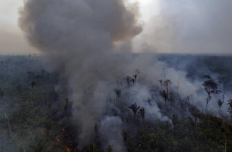 2024 is on its solution to being the most well lik...