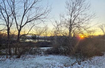 The Little Issues E-newsletter #448 – Life, ...