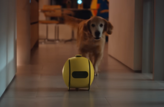 CES 2025 was extra shoppable than conceptual