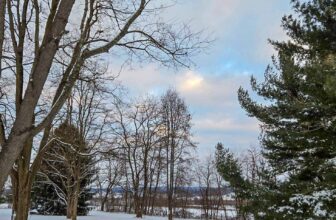 The Little Issues Publication #450 – Life, l...