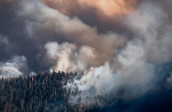 Can our local weather be saved by vacuuming carbon...