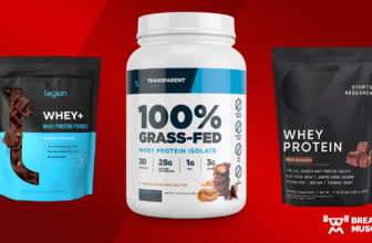 Finest Whey Protein Powders of 2025
