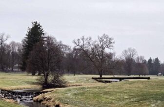 The Little Issues Publication #456 – Life, l...