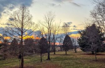 The Little Issues Publication #458 – Life, l...