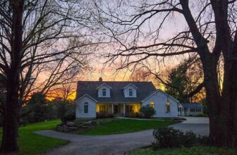 The Little Issues E-newsletter #466 – Life, ...