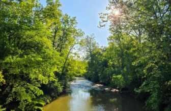 The Little Issues E-newsletter #470 – Life, ...