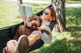 Tips on how to Make Relaxation Really feel Product...