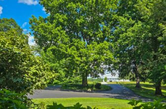 The Little Issues E-newsletter #476 – Life, ...