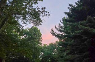 The Little Issues Publication #484 – Life, l...