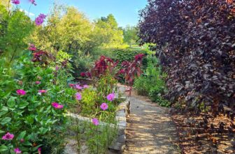 The Little Issues E-newsletter #486 – Life, ...