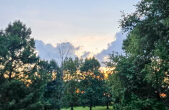 The Little Issues Publication #488 – Life, l...