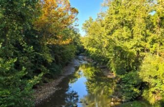 The Little Issues E-newsletter #487 – Life, ...