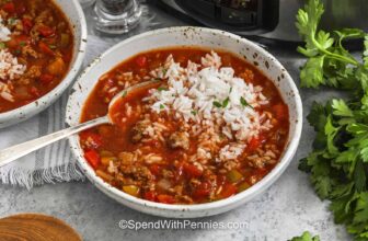 Gradual Cooker Stuffed Pepper Soup